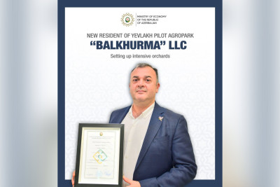 Yevlax Pilot Aqroparkında intensiv meyvə bağları salınacaq