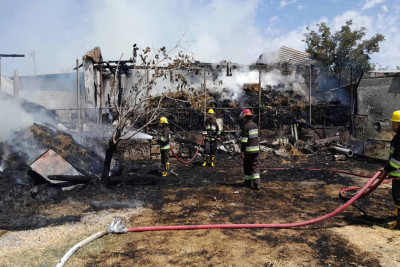 Naxçıvanda yanğın zamanı 15 baş heyvan tələf olub