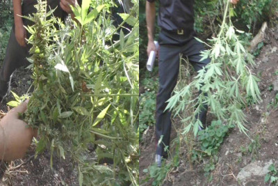 Maltada itlər üçün teatr yaradılıb