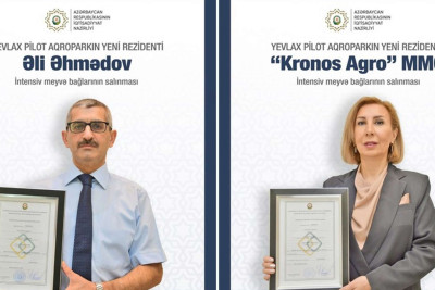 Yevlax Pilot Aqroparkında daha 1 milyon manat dəyərində intensiv meyvə bağları salınacaq