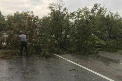 Qəbələdə sel suları rayonun yol infrastrukturuna ziyan vurub