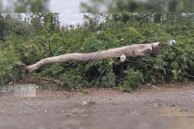 Xaçmaz rayonunda kəndlər hava şəraitinə görə işıqsız qalıb