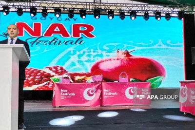 Göyçayda 15-ci Nar Festivalı keçirilib