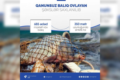 Təbiətə 7,5 min manatdan çox ziyan vuranlar saxlanılıblar