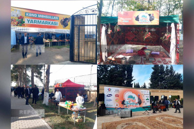 Biləsuvarda hinduşka festivalı keçirilir