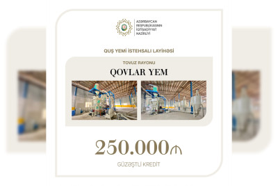 Tovuzda quş yemi istehsalı layihəsinə 250 min manat güzəştli kredit ayrılıb