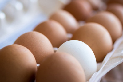 Azərbaycan Rusiyaya 36 ton yumurta ixrac edib