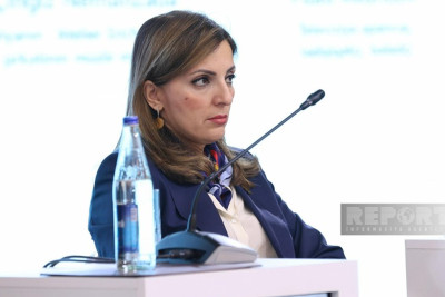 Azad olunan ərazilərdə monitorinq edilən abidələrin sayı açıqlanıb