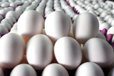 Azərbaycan Rusiyaya 4,2 milyon ədəd yumurta göndərib