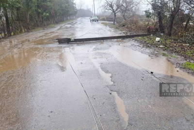 Lənkəran rayonunda avtomobil elektrik dirəyinə çarpılıb