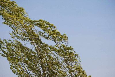 FHN gözlənilən hava şəraiti ilə əlaqədar əhaliyə müraciət edib