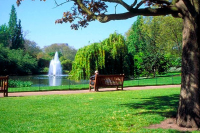 Xocahəsən gölü ətrafında park salınacaq