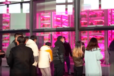 Çində 20 mərtəbəli tərəvəz ferması açılıb