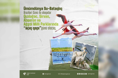 Sabah bu milli parklarda “Açıq qapı” günü olacaq
