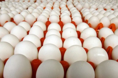 Azərbaycan yanvarda Rusiyaya 4 milyondan çox yumurta göndərib