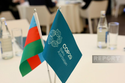 COP29-da könüllü olmaq istəyənlərin nəzərinə!