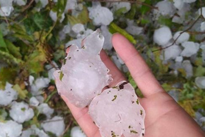Naxçıvana dolu düşüb