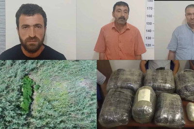 Yevlaxda çətənə bitkisi yetişdirən şəxslər tutulublar