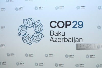 COP29 Akademiyasının fəaliyyətinə start verilib