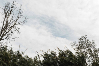 Sabah yağış yağacaq, külək güclənəcək