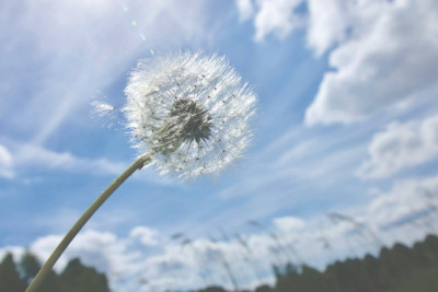 Hava proqnozu: Sabah 32° isti olacaq