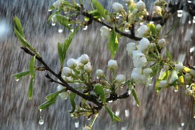 Hava proqnozu: Sabah 36° isti olacaq