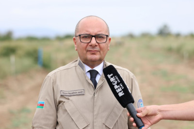 ANAMA sədri: Vətən müharibəsindən indiyədək 377 nəfər minaların qurbanı olub