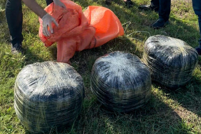 Lənkəran: 18 kiloqram narkotik vasitə dövriyyədən çıxarılıb