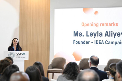 Leyla Əliyeva COP29 çərçivəsində panel müzakirələrində çıxış edib - VİDEO