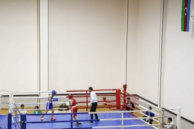 Naxçıvan Boks Federasiyası fəaliyyətini dayandırıb