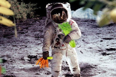 Ayda bostan salınır: Yerə misilsiz faydası açıqlandı