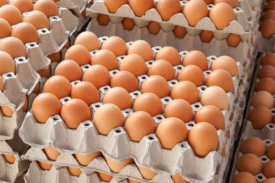 Yumurtanın qiyməti 22 qəpiyə QALXDI – Qıtlıq, yoxsa bayramqabağı BAHALAŞMA?