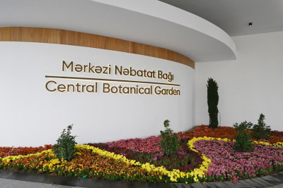 Mərkəzi Nəbatət Bağı bu gündən əhali üçün açıqdır
