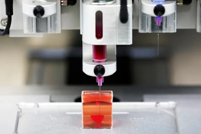 Azərbaycanda 7 yeni ixtisas YARADILDI