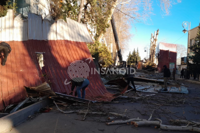 Göyçayda güclü külək fəsadlar törədib