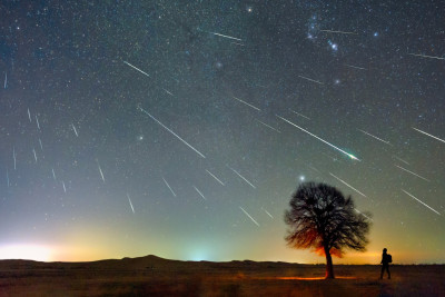 AZAL Bakı-Naxçıvan-Bakı marşrutu üzrə onlayn bilet alışını asanlaşdırdı
