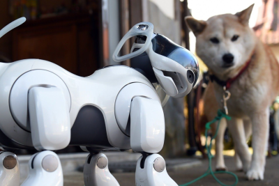 Alimlərdən iddia: İtlərlə söhbət etmək mümkün olacaq