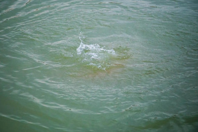 Doqquz gün əvvəl Kürdə batan yeniyetmə qızın meyiti tapılıb