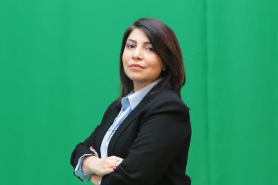 Jurnalist Afət Telmanqızının evi qarət edildi