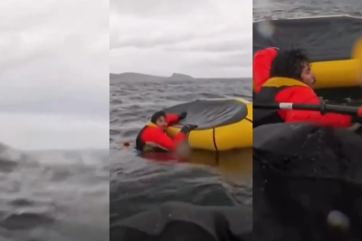 Balina qayıqda üzən oğlanı uddu və sonra "tüpürdü"