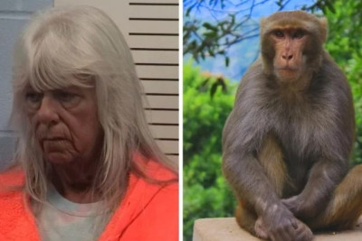 70 yaşlı qadın övladlığa götürdüyü qızı meymunla dəyişib