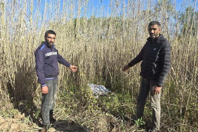 Külli miqdarda narkotik vasitəni ölkə ərazisinə keçirmək istəyən şəxslər saxlanılıb - FOTO
