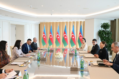 Azərbaycanın Birinci vitse-prezidenti Mehriban Əliyeva Mərakeşin xanım Şahzadəsi Lalla Hasnaa ilə görüşüb