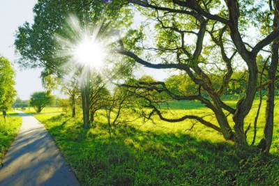 Sabah 33 dərəcə isti olacaq