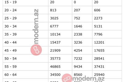 Azərbaycanda dulların əksəriyyəti qadınlardır - STATİSTİKA