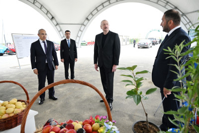 Prezident İlham Əliyev Yevlax pilot aqroparkının açılışında iştirak edib