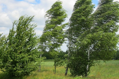 Sabah hava küləkli olacaq