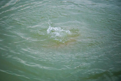 Sabirabadda bir nəfər çayda batıb