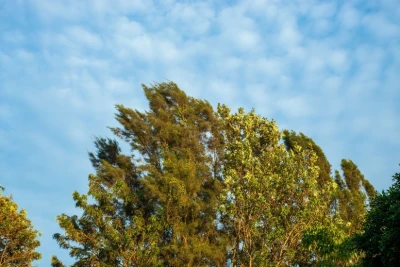 Oktyabrın ilk günü hava yağıntılı və küləkli olacaq