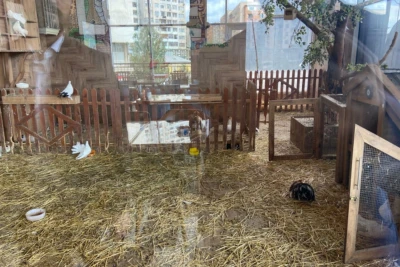 “Kolorit” restoranında heyvanların qanunsuz saxlanıldığı aşkar olunub